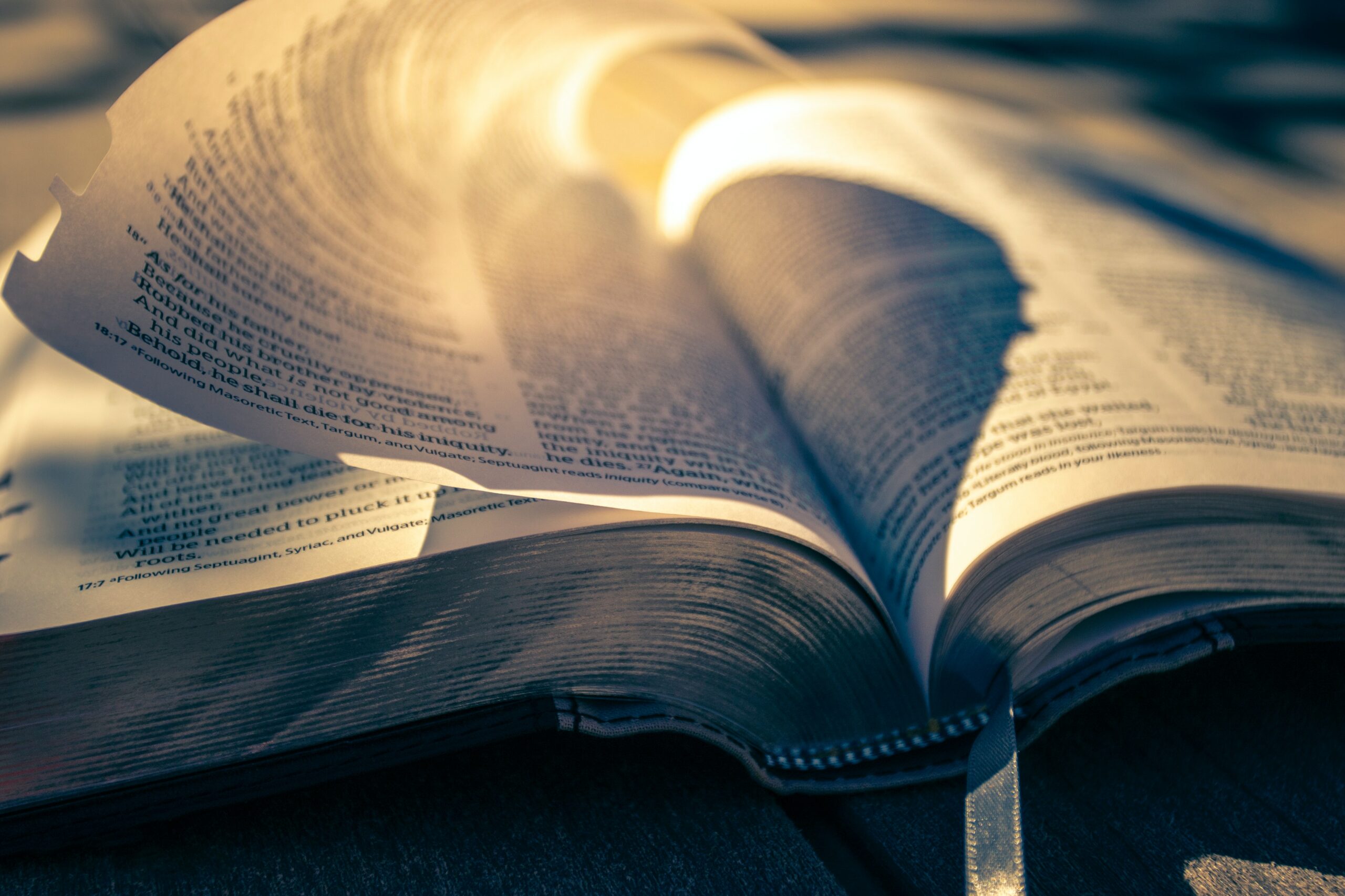 Bible Reading: Quality or Quantity?